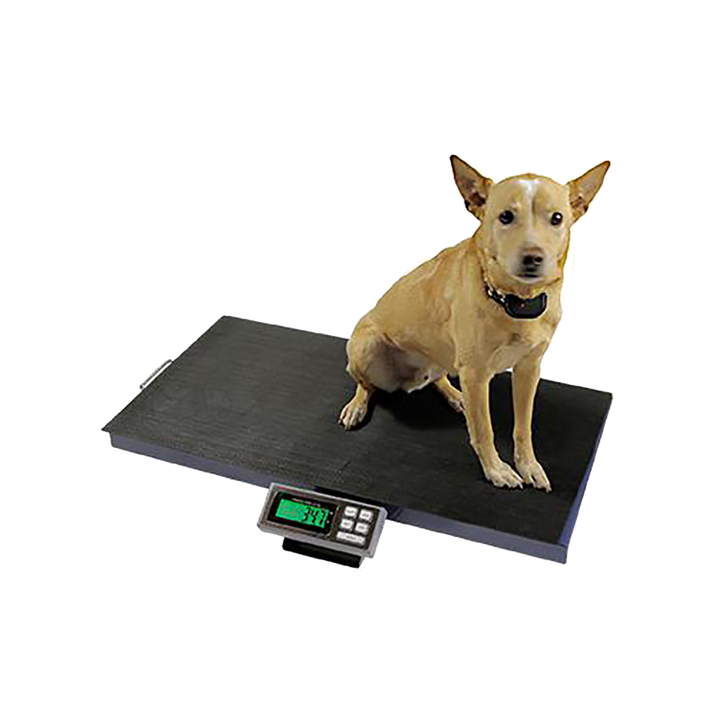 Avante DRE 400 Veterinary Scale